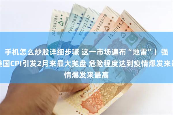 手机怎么炒股详细步骤 这一市场遍布“地雷”！强劲美国CPI引发2月来最大抛盘 危险程度达到疫情爆发来最高