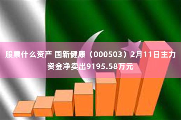 股票什么资产 国新健康（000503）2月11日主力资金净卖出9195.58万元