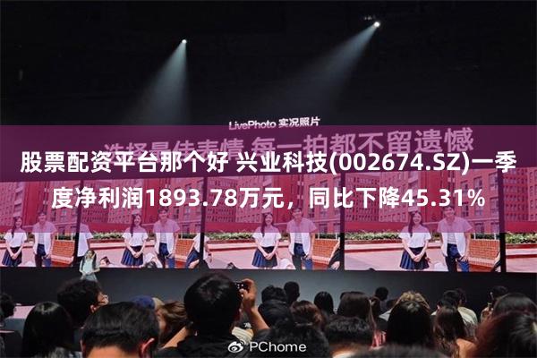 股票配资平台那个好 兴业科技(002674.SZ)一季度净利润1893.78万元，同比下降45.31%