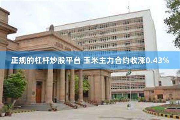 正规的杠杆炒股平台 玉米主力合约收涨0.43%