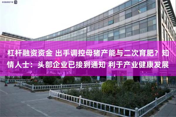 杠杆融资资金 出手调控母猪产能与二次育肥？知情人士：头部企业已接到通知 利于产业健康发展