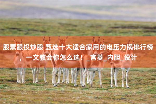 股票跟投炒股 甄选十大适合家用的电压力锅排行榜，一文教会你怎么选！_宫菱_内胆_设计