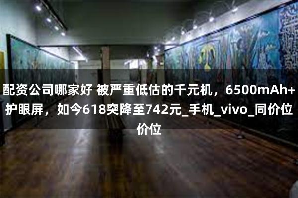 配资公司哪家好 被严重低估的千元机，6500mAh+护眼屏，如今618突降至742元_手机_vivo_同价位