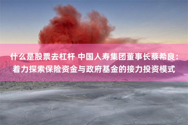 什么是股票去杠杆 中国人寿集团董事长蔡希良：着力探索保险资金与政府基金的接力投资模式