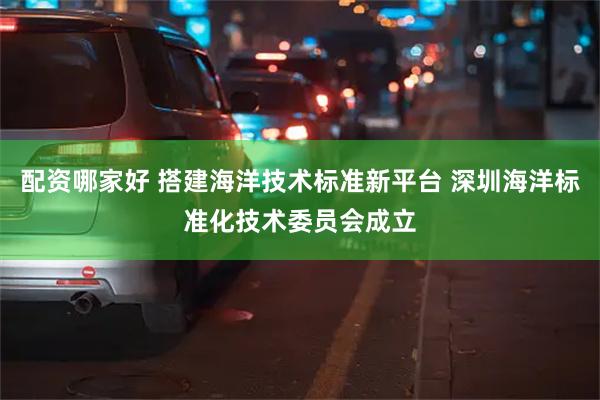 配资哪家好 搭建海洋技术标准新平台 深圳海洋标准化技术委员会成立