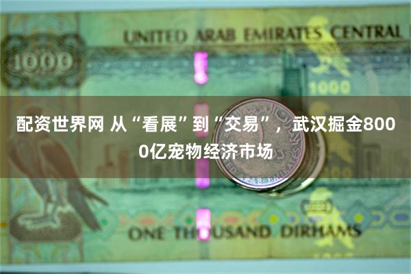 配资世界网 从“看展”到“交易”，武汉掘金8000亿宠物经济市场