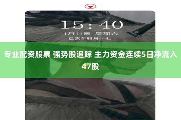 专业配资股票 强势股追踪 主力资金连续5日净流入47股