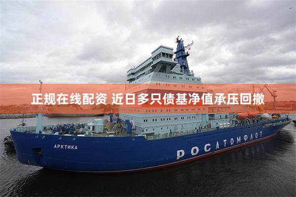正规在线配资 近日多只债基净值承压回撤